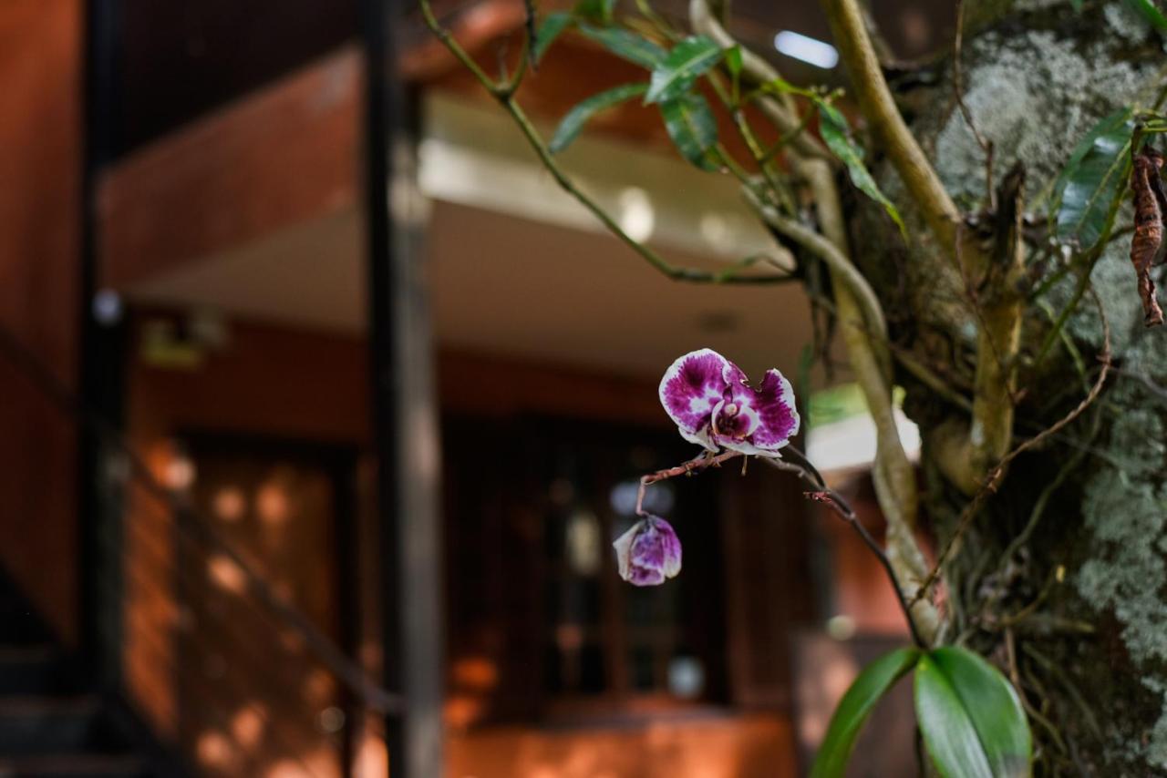 Tio Isolda Artes & Hospedaria Casa Branca Exterior foto